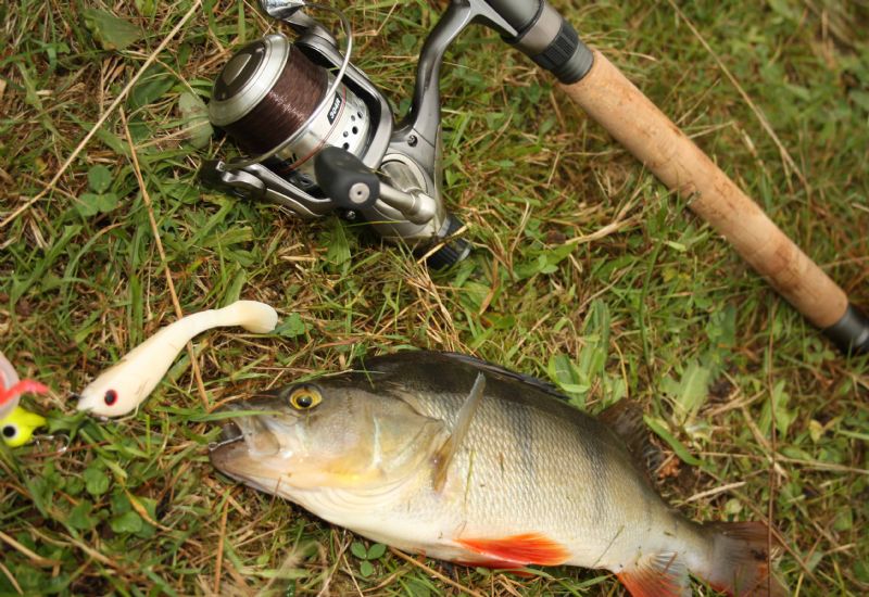 Agility Bait Casting Reel/ Shakespeare Fishing Rod