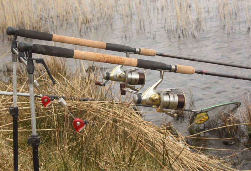 New Barbel Rods  Fish For Everything