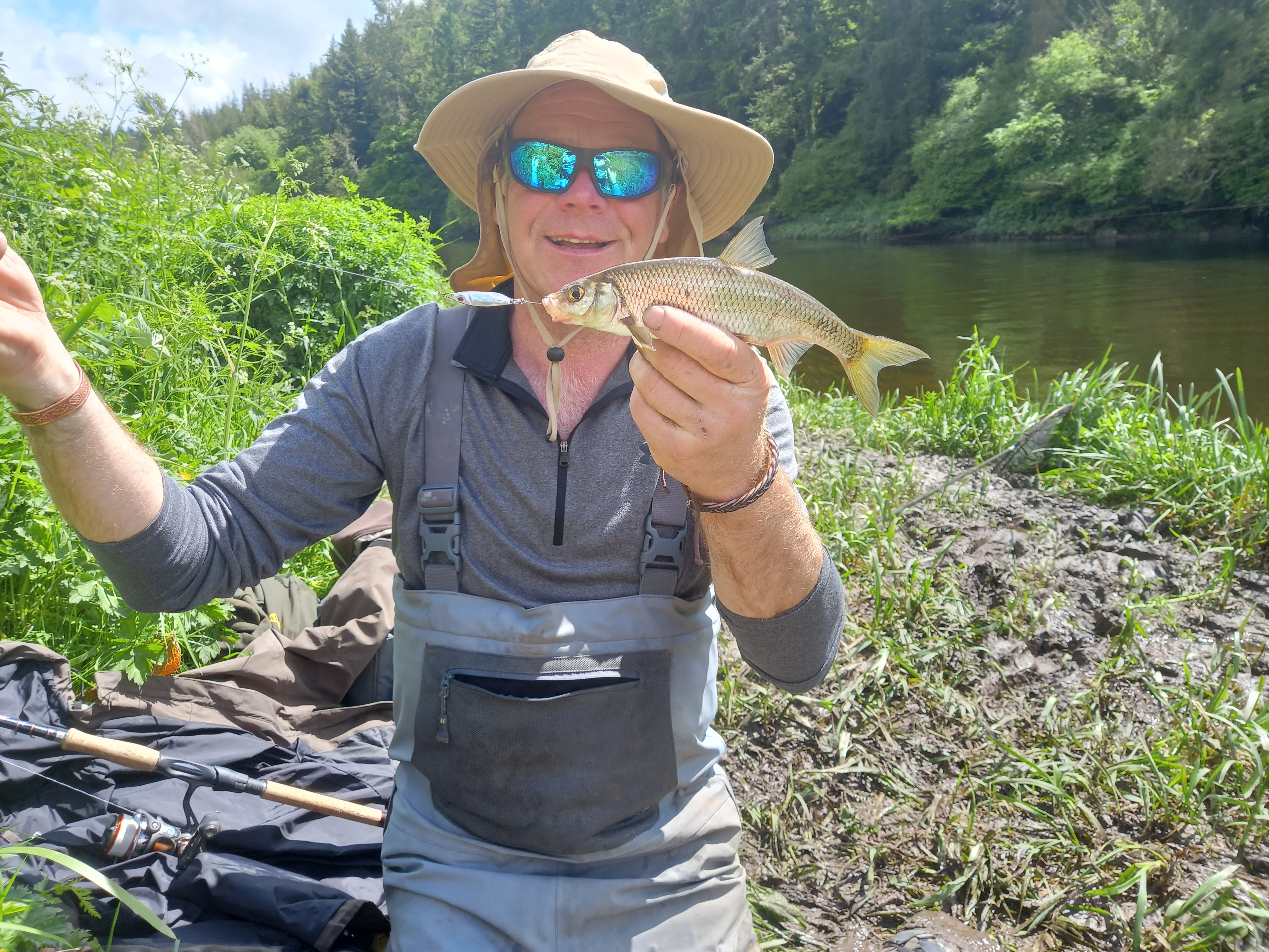 Shadless at St Mullins.  An Irish Angler's World