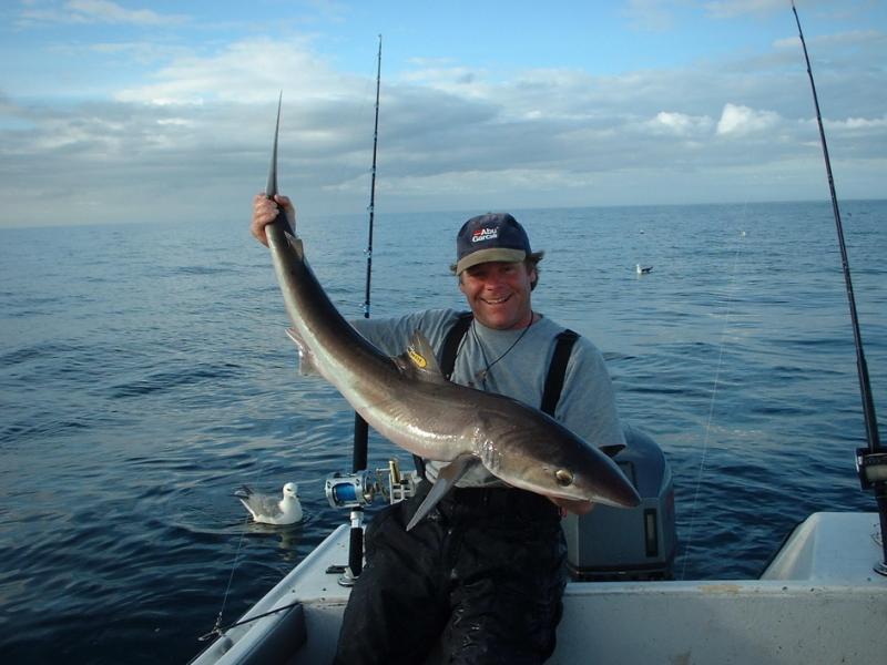 Sea angling on the east coast  Fishing in Ireland - Catch the